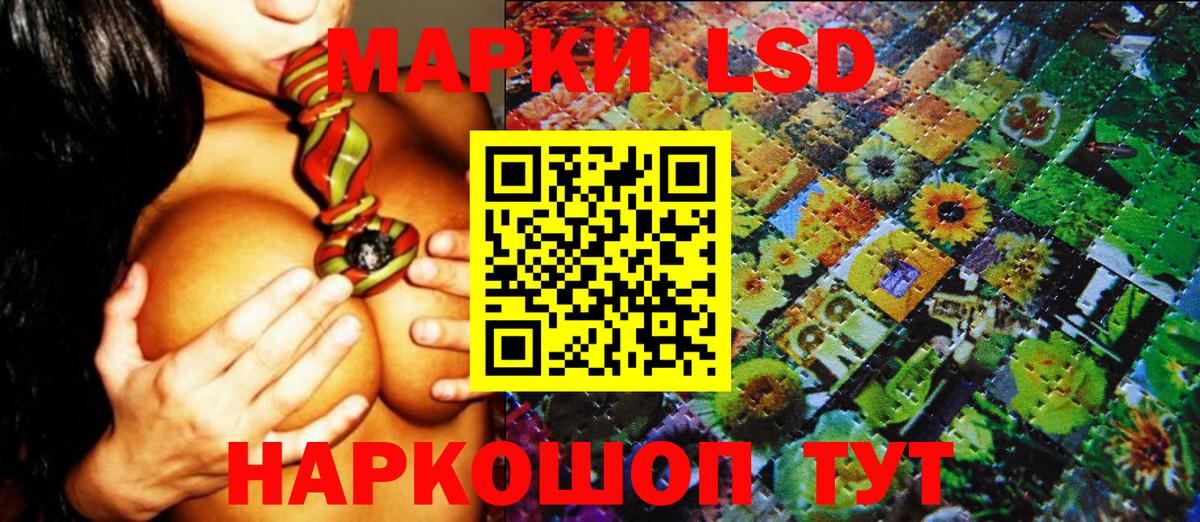 Нововоронеж  Наркотические марки 1500мкг  Наркотические марки 1500мкг  Вход с VPN 